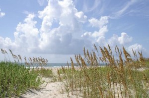 beach-view-by-cape-lookout