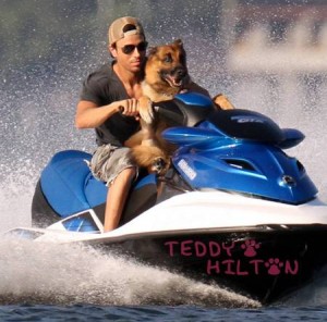 enrique-iglesias-and-dog-je__oPt