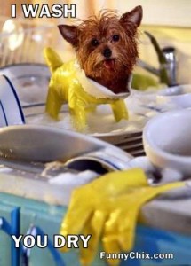 funny-pictures-dishwasher-dog