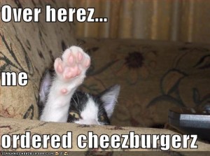 funny-pictures-your-cat-orders-a-cheeseburger