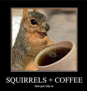funny-squirrel-drinking-coffee